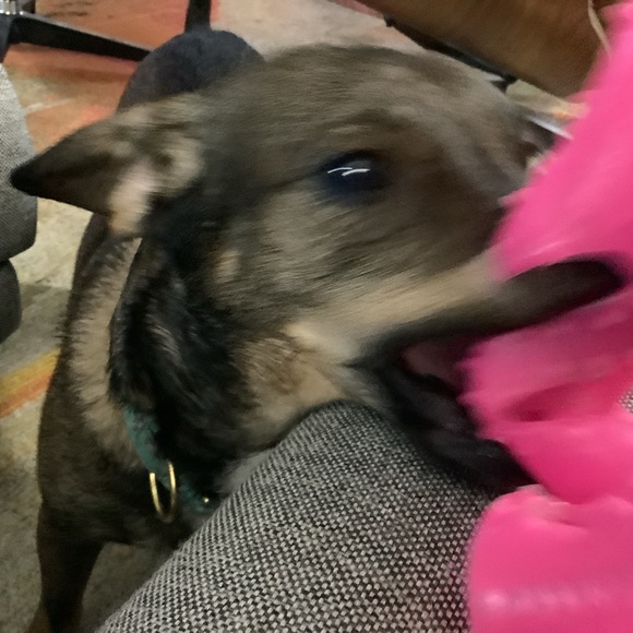 Meet your Posher, Christine - Picture 2 of 2